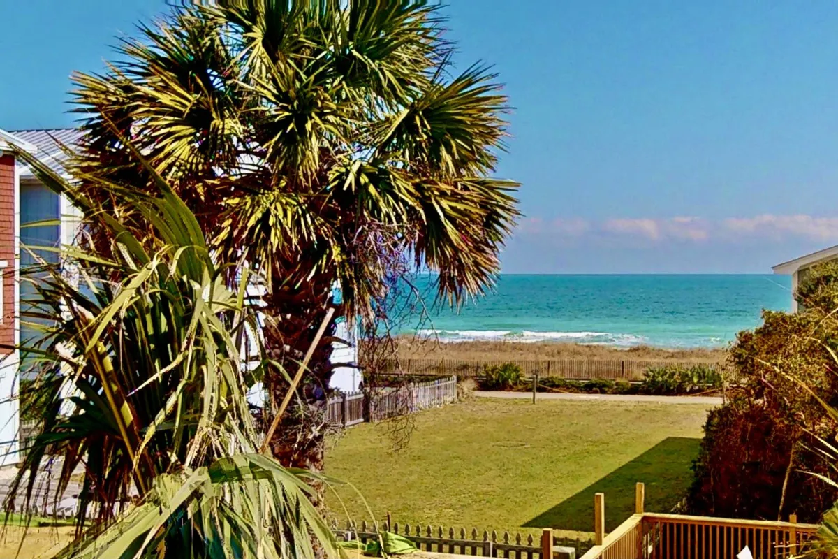 A lush grass area fringed by a tall palm tree, with the bright blue ocean stretching out under a wide, sunny sky. The scene is relaxing and invigorating—perfect for beach walks, sunbathing, or simply soaking in the ocean breeze.